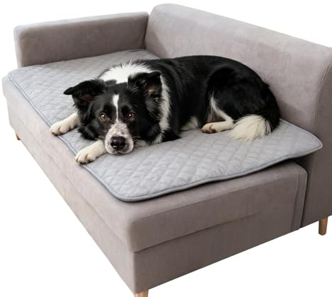 100 x 150 cm - Imperméable - Gris clair - Protection de canapé - Antidérapant - Lavable - Pour les déplacements - Pour canapé, lit, voiture, chiens, chats, animaux domestiques