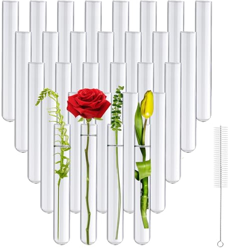 Ferenando 30-Paquete Tubo de Prueba de Vidrio de Borosilicato con Cepillo, 20mm de OD x 150mm de Longitud, Tubos de Ensayo Cristal de Fondo Redondo para Flores, Plantas, Decorativos & Laboratorio