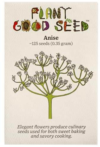 Plant Good Seed Anise Seeds for Planting: Culinary Herb, Licorice Fennel Flavor, White Flowers - 125 Seed Packet