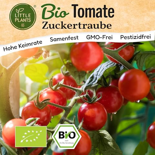 Little Plants BIO Tomaten Samen 10 Tomatensamen Zuckertraube Kirschtomate Gemüsesamen für Gemüsegarten Samenfest Gemüse Samen für Küche, Balkon und Garten