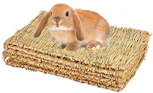 CAMITER Kleintier Grasmatten,Tier-Kauspielzeug, Kaninchen-Bett, Natürliche Handgewebte Grasmatte Sicher und Essbares für Hamster, Kaninchen, Papageien Meerschweinchen und Frettchen (4 Stück)