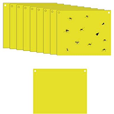 TopHomer 10 st gula klibbiga flugfällor, 25 x 40 cm dubbelsidiga flugpappersklistermärken för insekter mot svampgnat, vitpärlor, bladlöv, lövmaskiner