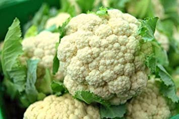 SEMI Semi di cavolfiore (10 per confezione)