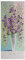 3D Türaufkleber Eigene Blumen B85 x H205cm Türtapete selbstklebend TürPoster - Fototapete Türfolie Poster Tapete Aufkleber DIY Wandbild