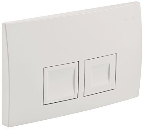 Sanitop-Wingenroth 21234 2 Delta 50 115.135.461 Plaque de Commande, Chromé Mat