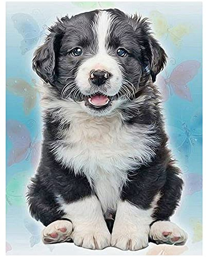 Square diamond painting cane 30x40cm fai da te adulti mosaici per bambini diamante quadrato painting by numbers pittura con i numeri pietre puzzle kit ricamo punto croce con viscosa HD set da parete