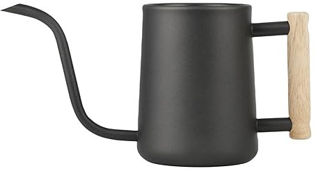 SPORWAY 1L/35oz Gießkanne Zimmerpflanzen: Giesskanne Klein Edelstahl mit Komfortablem Holzgriff und Langem Dünner Ausgießer, Gießkanne Indoor für Zimmerpflanzen Sukkulenten Bonsai Topfpflanze