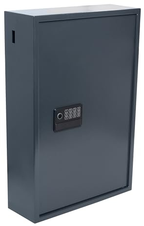 Pavo - Armario de Alta Seguridad para 300 Llaves, 8025176