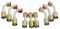 Wisepick Klimaanlage #10 AC Fitting Set Female Oring Beadlock 7/8-14UNF inkl. Gerade 45 90 Grad