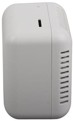 Dioche Serveur d'impression USB, Serveur de Partage d'impression LAN Léger 100-240 V, Prise en Charge Maximale de 256 Go, Impression d'images 5 V pour Ordinateur (Prise UE)