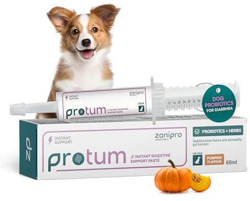 Zanipro Pasta Probiotica e Prebiotica per Cani e Gatti contro la Diarrea e dopo il Vermifugo, 3 Miliardi di Fermenti Vivi, Cura Intestinale – Rassodamento delle Feci (60ml) Zucca