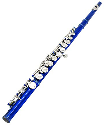 HUIOP flauta,Flauta Travesera Cuproníquel Plateado 16 Agujeros C clave Instrumento de Viento de Madera con Grease Cork Paño de Limpieza Guantes Palillo Mini Acolchado Caso Destornillador,Flauta de 16