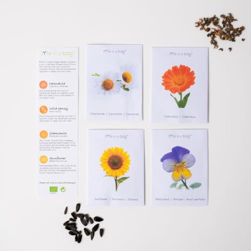 Lot de 4 variétés de graines de fleurs Calendula, Pensée, Tournesol, Camomille