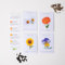 Set de 4 variedades de semillas de flores. Calendula, Pensamiento, Girasol, Manzanilla. Semillas Ecólogicas de Flores