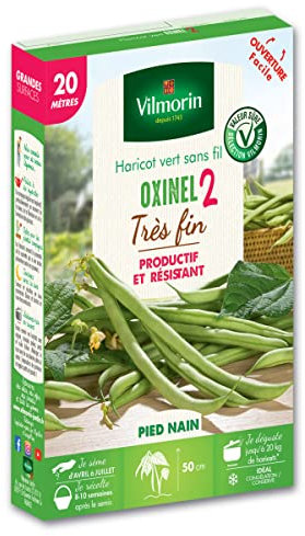 Graines de Haricot Nain Vert Oxinel 2-20 metres