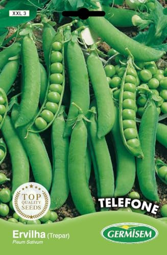 Germisem Telephone Graines de Pois 100 g XXL 3 Multicolore