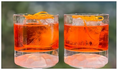 Topkapi Bar & Lounge Negroni Fabrizio - Juego de 2 Copas de Cóctel para Regalo, Fabulosos para Negroni, 260 ml, Cristal Premium sin Plomo con Efecto Hielo