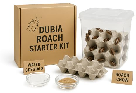 Dubia Roach Starter Kit – Optimized Colony for Reptile Feeders – 250 Roaches (40F, 10M, 200 Nymphs), 1 lb Premium Chow, 3 oz Water Gel, 4 Egg Flats, 1 oz Bee Pollen, 2 Vent Accessories, Care Guide