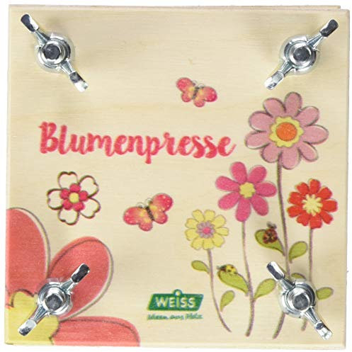 Weiss Natur Pur Weiss Natur purb09710 Kleine Bunte Blume Drücken