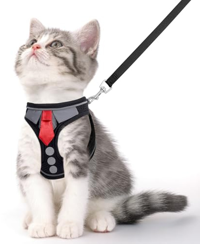 NCMAMA Cat Harness and Leash Set for Walking Escape Proof, Soft Adjustable Kitten Harness Breathable Mesh with Reflective Strips Harness for Kitty Puppy Bunny(Black,XS)