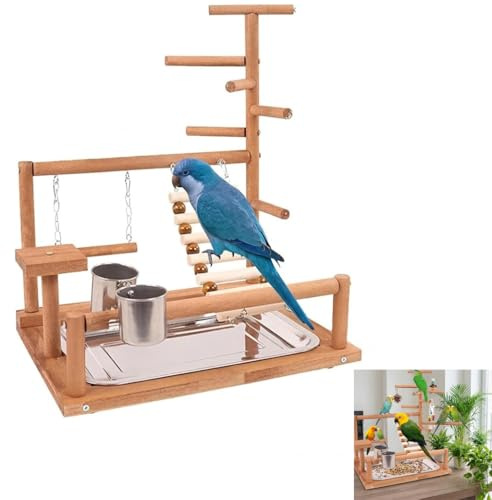 Zbozzba Parco giochi per uccelli in legno, pappagallo e pappagallo con tazza, scala, altalena e vassoio, giocattolo da masticare e esercizi per uccelli di piccole e medie dimensioni