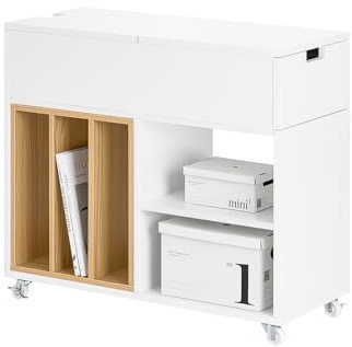SoBuy Aktenschrank Aktenschrankwagen Druckertisch Druckerständer Rollcontainer mit 4 Rollen Lagerschrank Schrank für Büro Weiß BHT ca. 30x61x70cm FBT134-W
