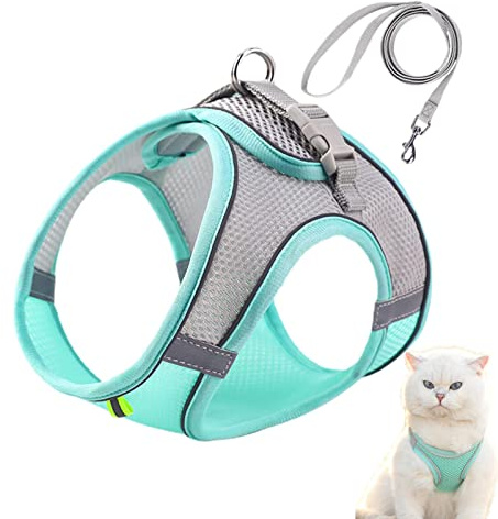 HAMAGI Arnés y Correa para Gatos - Arnés Chaleco Ajustable para Gatos a Prueba de Escape, Arnés Transpirable para Gatitos, Correa de 150 cm, Color Menta Verde, Tamaño XS