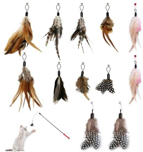 JNYUTEEN 12 Piezas Juguete de Plumas para Gatos, Plumas para Gatos con Campanas Multicolor, Juguetes de Plumas de Repuesto para Caña de Gato y Juego Interactivo