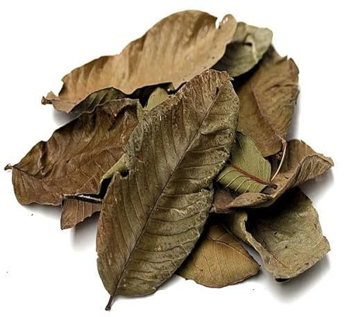 Feuilles de goyave Feuille de goyavier séchées pour tisane - 100% naturelle