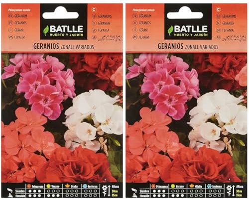 Batlle Geranium ZONALE (Lot de 2)