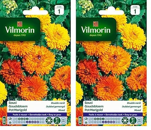 Vilmorin 5791041 Souci Double varie, Multicolore (Lot de 2)