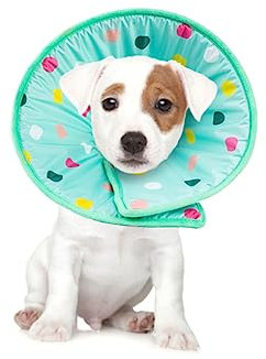 COLLBATH Schutzhalsband Für Hunde Und Faser Elisabethanisches Größe S Wundschutz Kegeldesign