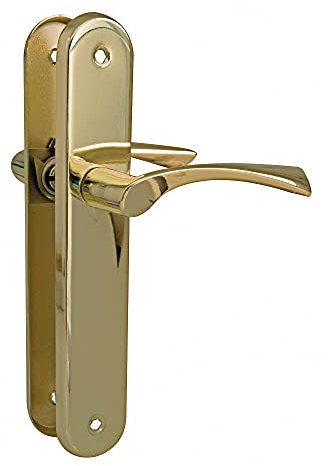 Amig - Lot de 2 poignées avec plaques ovales en acier et poignée de tirage en zamak avec finition en laiton verni pour portes intérieures de passage - 237 x 40 mm - Béquille 120 mm | Vis incluses