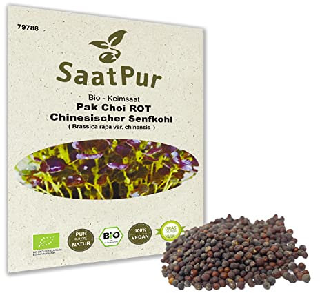 Bio Sprossen Samen Pak Choi Rot - 100% Bio Keimsprossen - Microgreens mit hoher Keimkraft - Sprossensamen für Keimschale - Lebensmittel Qualität