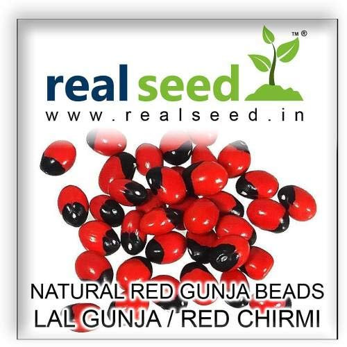 Pinkdose Red Rosenkranz Erbsensamen