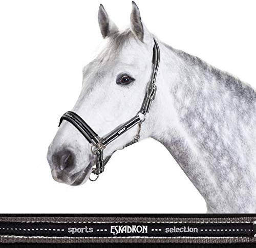 Standard Halfter PIN BUCKLE