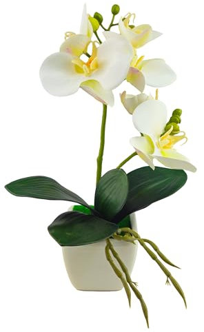 Tecnokit Plantas artificiales de interior, orquídea artificial, con maceta incluida, planta artificial, material plástico realista al tacto, apto para todos los ambientes (30 cm, blanco)