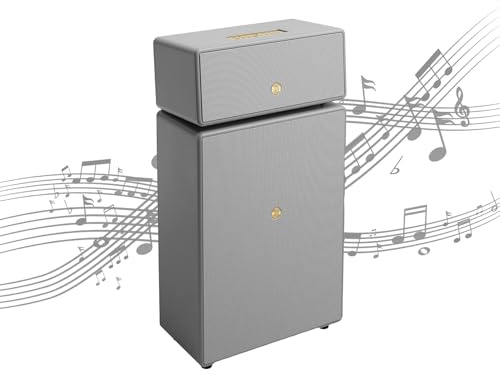 Audio Pro Drumfire II – Potente altoparlante WiFi Multiroom – senza fili con Bluetooth – Altoparlante portatile con AirPlay2, Google Cast, Spotify Connect – Grigio