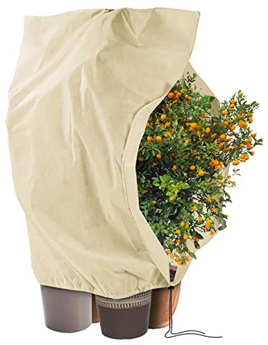 Tessuto Non Tessuto per Piante 240 x 200 cm, 80 g/m², Telo per Piante Inverno Antigelo, Telo Copri Piante Inverno, Antivento e Antigelo con Cerniera e Cordoncino, Facile da Installare