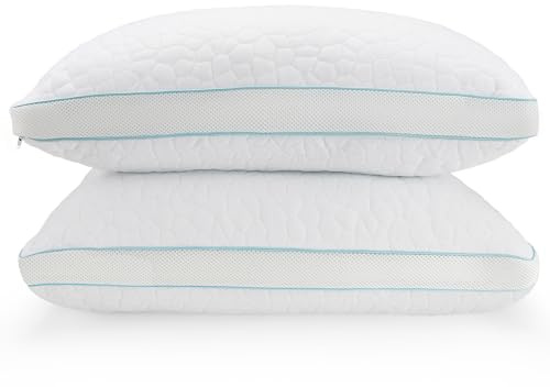 Shredded Memory Foam Pillows 2 Pack, Adjustable Firmness Bed Pillows with Bamboo Rayon Cover – Medium Firm Support, Breathable & Machine Washable for Side, Back & Stomach Sleepers (70 x 45cm)