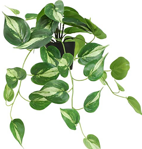 ALAGIRLS Kunstpflanze Hängend mit Topf Deko Wohnzimmer Manjula Efeutute Zimmerpflanze Künstliche Hängepflanzen FP801-01
