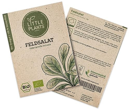 Little Plants BIO Feldsalat Samen, 300 Feldsalatsamen, hohe Keimrate, 100% Natürlich, BIO Samen Feldsalat Vit für deinen Gemüsegarten Gemüsebeet Hochbeet – BIO Salatsamen Gemüsesamen Nachhaltig