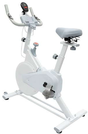 Fyssnn Bicicleta estática, bicicleta de fitness silenciosa para interior con soporte y resistencia ajustable, bicicleta estática ergómetro para entrenamiento en casa y entrenamiento cardiovascular en