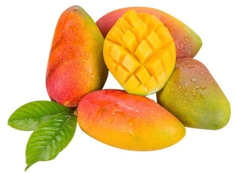 Semillas de de mango,semillas de frutas,de exterior perennes resistentes de interior 5pcs