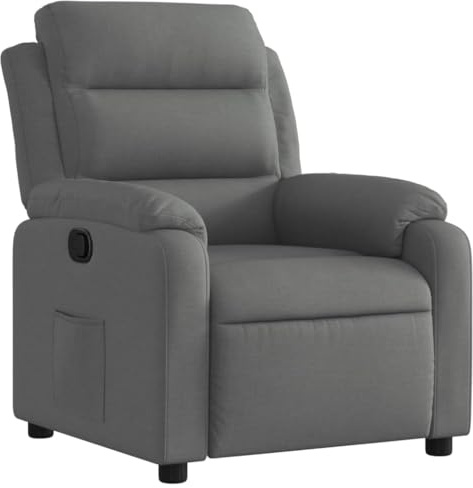 vidaXL Sillón reclinable de Tela Gris Oscuro, Silla reclinable, sillón reclinable para Ancianos, sillón de sofá, sillón, sillón reclinable para TV
