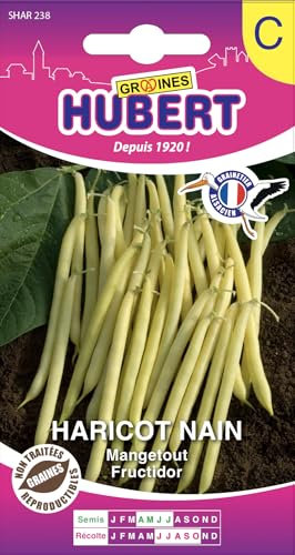 Graines de Haricot Nain Mangetout Fructidor - Format Petit Jardin