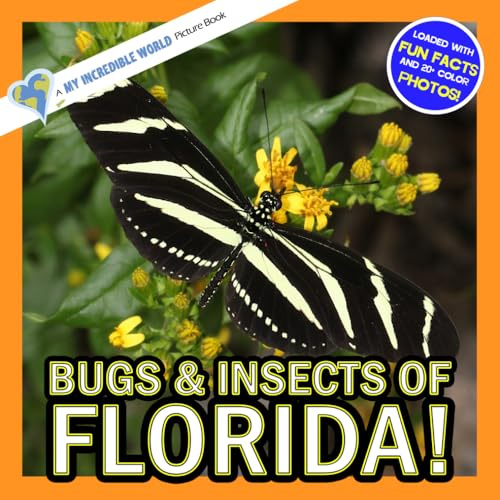 Bugs & Insects of Florida!: A My Incredible World Picture Book for Children