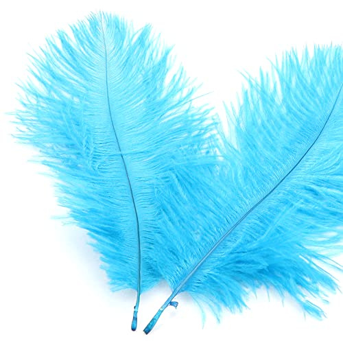 30 stycken 15–20 cm naturliga strutsfjädrar, bukettfjäder för pyssel, pysselfjädrar för gör-det-själv drömfångare tillbehör, heminredning, kostymer, bordsdekoration, bröllop, fest, hatt, kläder,