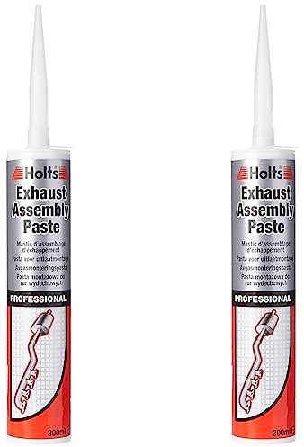 Holts LOYPRO29A Pro Cartridge Professional Exhaust Assembly Paste, 300 ml (Pack of 2)