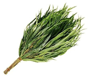 Kvast bastu bad eukalyptus 3 delar